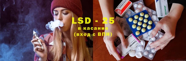 ГАЛЛЮЦИНОГЕННЫЕ ГРИБЫ Верея