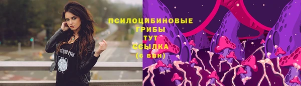 шишки Бугульма