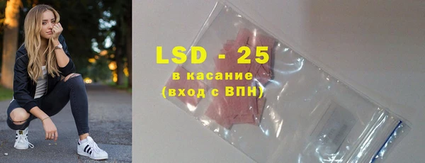 ГАЛЛЮЦИНОГЕННЫЕ ГРИБЫ Верея
