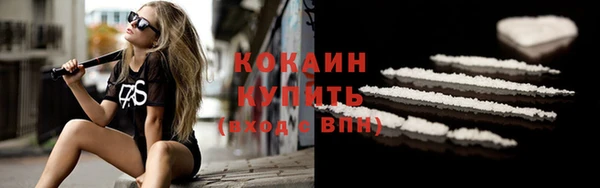 ГАЛЛЮЦИНОГЕННЫЕ ГРИБЫ Верея
