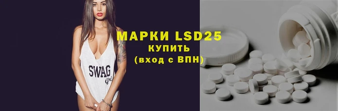 ГАЛЛЮЦИНОГЕННЫЕ ГРИБЫ Верея
