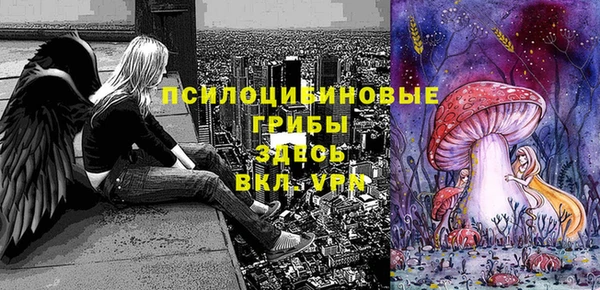 шишки Бугульма