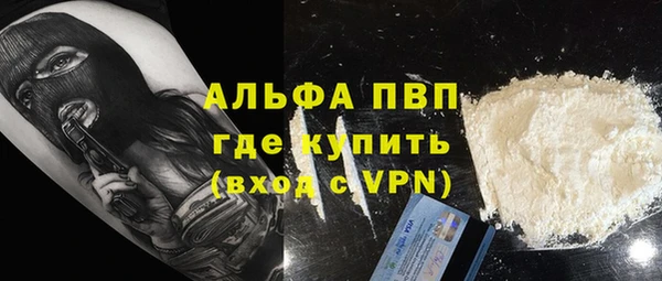ГАЛЛЮЦИНОГЕННЫЕ ГРИБЫ Верея