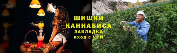 ГАЛЛЮЦИНОГЕННЫЕ ГРИБЫ Верея