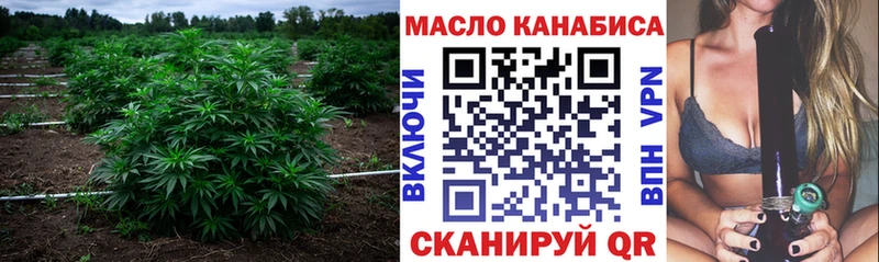 где купить   Южно-Сахалинск  Дистиллят ТГК гашишное масло 
