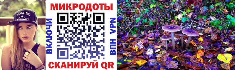 Псилоцибиновые грибы MAGIC MUSHROOMS  наркотики  Южно-Сахалинск 